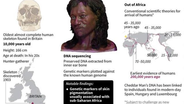 cheddar-man-the-first-briton_12cddee2-0bff-11e8-8111-5ed3551128ed