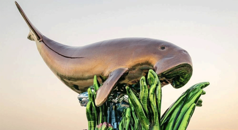 Qatar Museum to Take away Dugong Sculpture on Corniche |  Malayalam Information, Kerala Information, Political Information |  Expression of Kerala